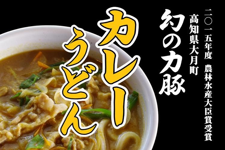 うどん一筋42年 高知のいろりや