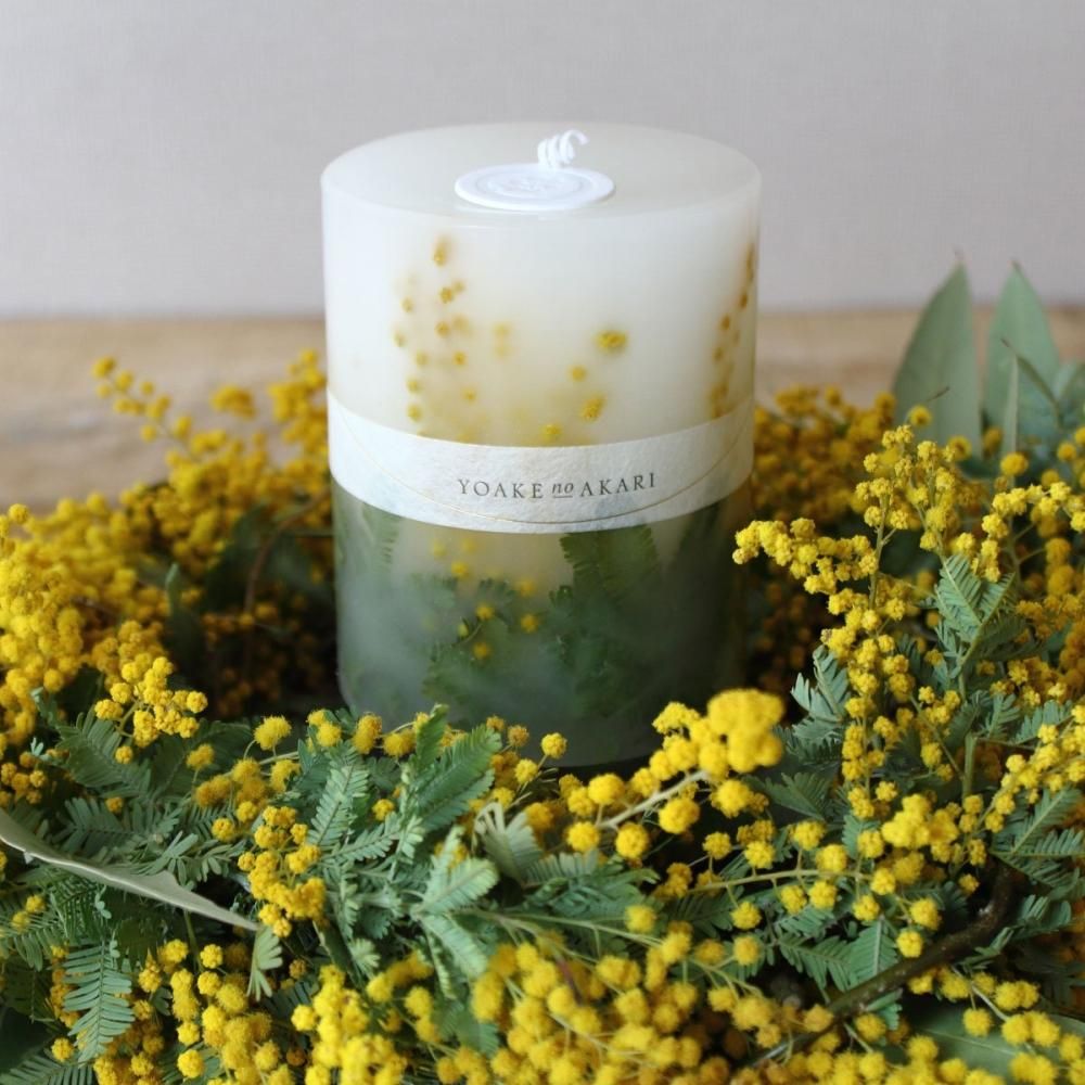 Botanical Candle ߥ⥶ ܥ˥ ɥ(BOX) yoakelimited <br>YOAKEnoAKARI 襢Υ