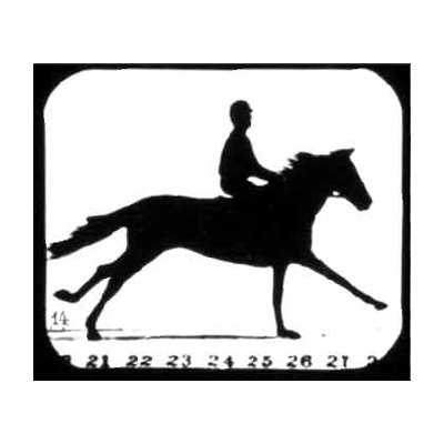 エドワード・マイブリッジ【Man Riding A Horse】 - 京都にある、美術洋書＆海外画集を取り扱う本屋『アートブック・ユリーカ』