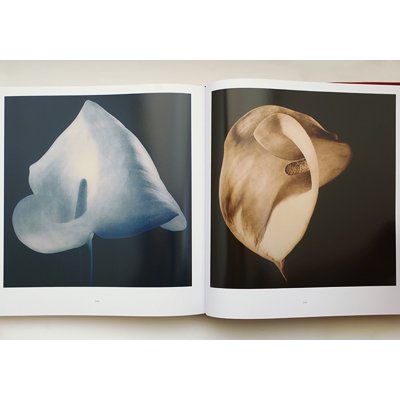 ロバート・メープルソープ【Mapplethorpe Flora: The Complete Flowers