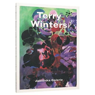 ア□ テリー・ウィンタース 洋書図録 Terry Winters Harry N