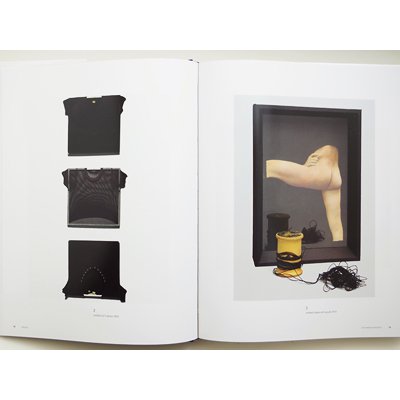 ロバート・メープルソープ【Die Photographien】 - 京都にある、美術洋書＆海外画集を取り扱う本屋『アートブック・ユリーカ』