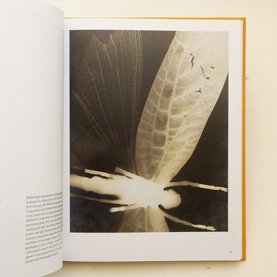 Cameraless Photography】 - 京都にある、美術洋書＆海外画集を取り扱う本屋『アートブック・ユリーカ』