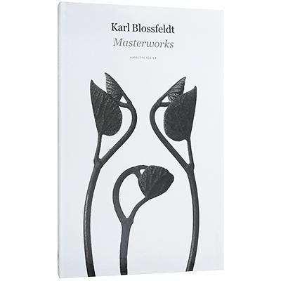 円高還元 カールブロスフェルト 植物写真 KARL BLOSSFELDT 洋書 - www 