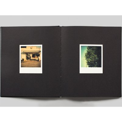 William Eggleston Polaroid SX-70