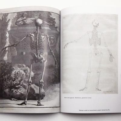 Human Anatomy】 - 京都にある、美術洋書＆海外画集を取り扱う