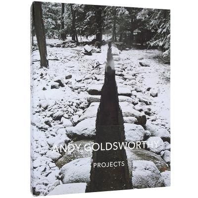 輝く高品質な アンディゴールズワージー 作品集 GOLDSWORTHY ANDY 洋書 