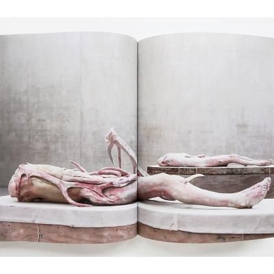 Berlinde De Bruyckere　The Embalmer ベリンデ・デ・ブリュッケレ【The Embalmer】 - 京都にある、美術洋書