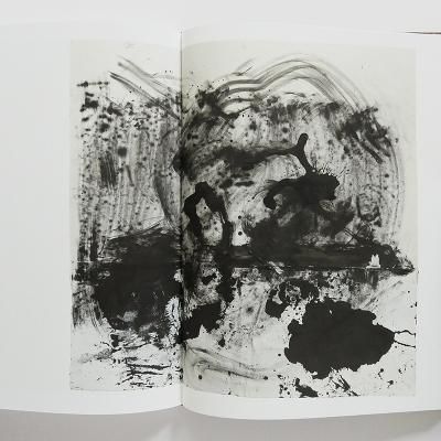 偉大な JIM DINE ジム・ダイン 洋書 DRAWINGS アート・デザイン・音楽 