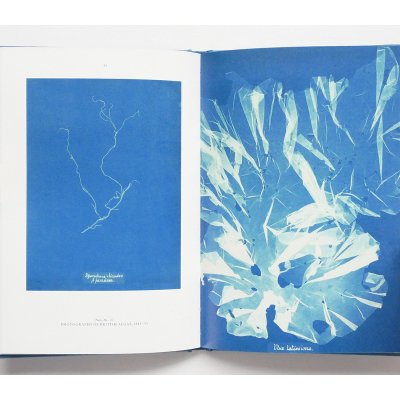 アンナ・アトキンス【Anna Atkins】 - 京都にある、美術洋書＆海外画集を取り扱う本屋『アートブック・ユリーカ』