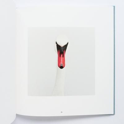 ロニ・ホーン【The Selected Gift (1974 - 2015)】 - 京都にある