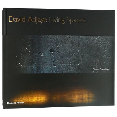 デイヴィッド・アジャイ【Living Spaces】 - 京都にある、美術洋書＆海外画集を取り扱う本屋『アートブック・ユリーカ』