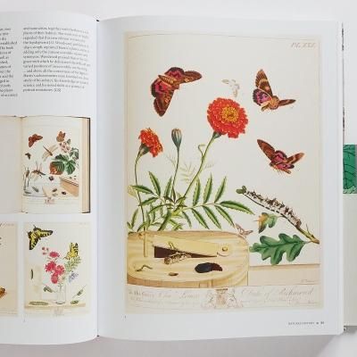 The Art of the Illustrated Book (Victoria and Albert Museum