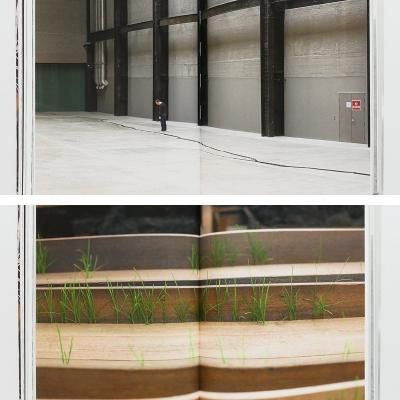 ドリス・サルセド【Doris Salcedo】 - 京都にある、美術洋書