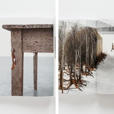 当季大流行 ドリス・サルセド【Doris 京都にある、美術洋書 - Salcedo】 アート・デザイン・音楽