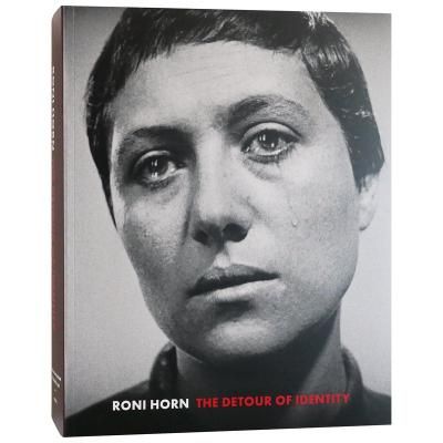 Pi　Roni Horn　ロニ・ホーン 同じ水平線を見ている——ロニ・ホーン「bird」＠タカ・イシイ