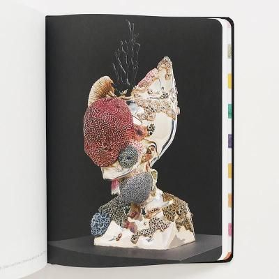 DAMIEN HIRST ダミアン・ハースト　洋書　写真集　作品集　美品 DAMIEN HIRST ダミアン・ハースト 洋書 写真集 作品集 初版