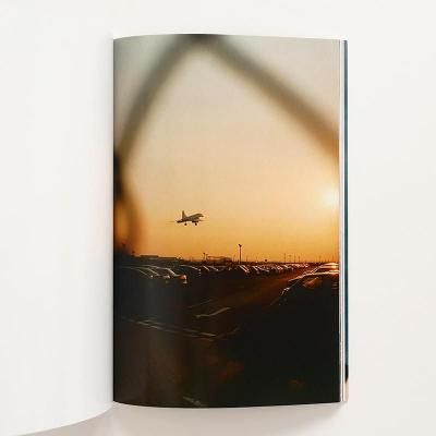 ヴォルフガング・ティルマンス 意訳】ヴォルフガング・ティルマンス： Multitudinal Pictures