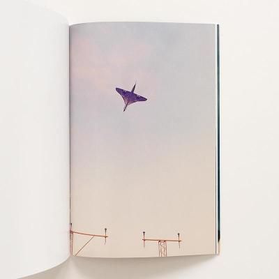 ヴォルフガング・ティルマンス 意訳】ヴォルフガング・ティルマンス： Multitudinal Pictures