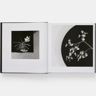 ロバート・メイプルソープ【The Complete Flowers】 - 京都に