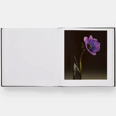 ロバート・メイプルソープ【The Complete Flowers】 - 京都に