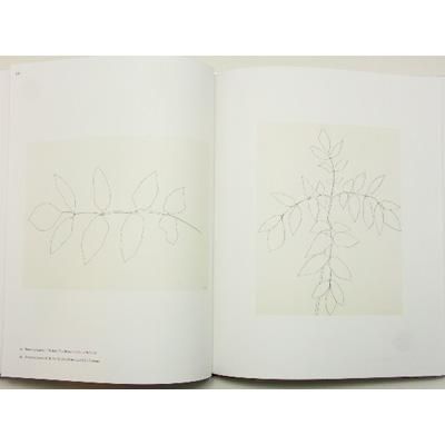 エルズワース・ケリー【Plant Drawings】 - 京都にある、美術洋書