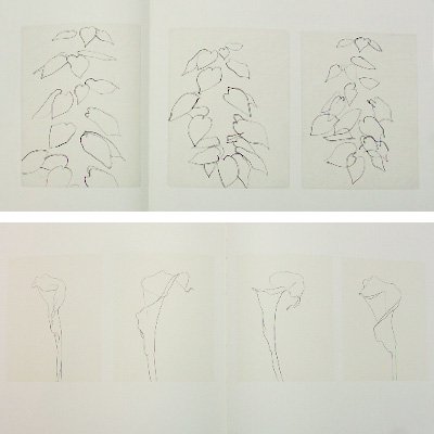 エルズワース・ケリー【Plant Drawings】 - 京都にある、美術洋書 