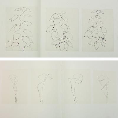 エルズワース・ケリー【Plant Drawings】 - 京都にある、美術洋書