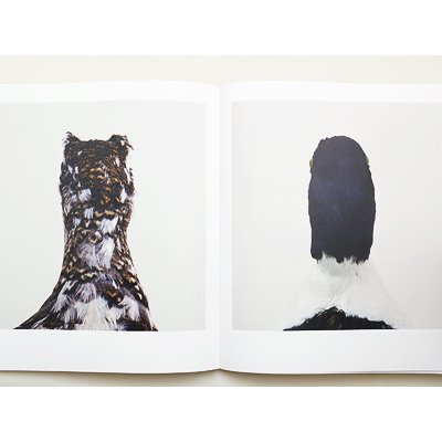 ロニ・ホーン【bird】 - 京都にある、美術洋書＆海外画集を取り扱う 