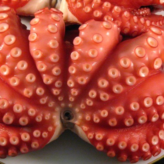 タコ 冷凍ボイル 真蛸 国内加工 10kg 14〜20尾 いラインアップ - タコ