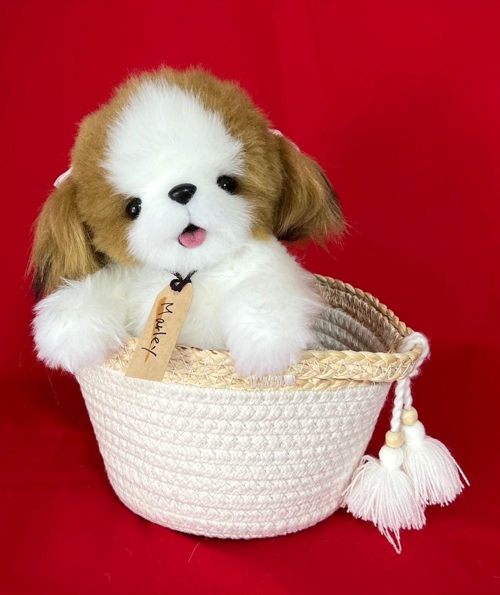 作家さま❤ぬいぐるみ❤テディベア❤アートドール　アーティストベア　柴犬　犬 作家さま❤ぬいぐるみ❤テディベア❤アートドール アーティスト