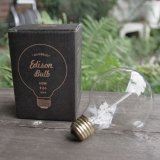 Edison Bulb 