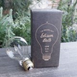 Edison Bulb A-shape/L/60W