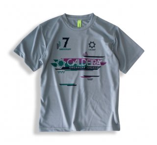 <img class='new_mark_img1' src='https://img.shop-pro.jp/img/new/icons50.gif' style='border:none;display:inline;margin:0px;padding:0px;width:auto;' />No.7005-ANNIVERSARY PRA SHIRT SEVENTH SENSE GRAY