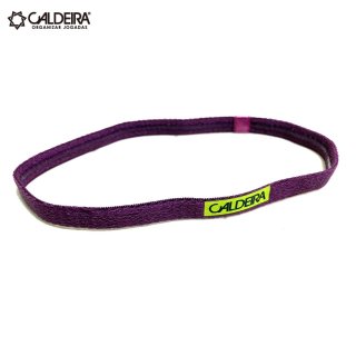 <img class='new_mark_img1' src='https://img.shop-pro.jp/img/new/icons12.gif' style='border:none;display:inline;margin:0px;padding:0px;width:auto;' />COLOR HAIR BAND RITZY2 purple