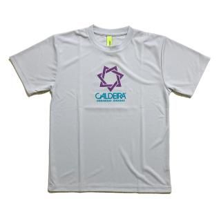 <img class='new_mark_img1' src='https://img.shop-pro.jp/img/new/icons12.gif' style='border:none;display:inline;margin:0px;padding:0px;width:auto;' />BICOLOR LOGO PRA SHIRT STAR TRAIL ESSENTIAL  ice.gray