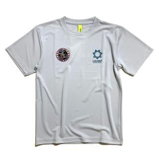 <img class='new_mark_img1' src='https://img.shop-pro.jp/img/new/icons12.gif' style='border:none;display:inline;margin:0px;padding:0px;width:auto;' />EMBLEM PRA SHIRT GALAXY  ice.gray