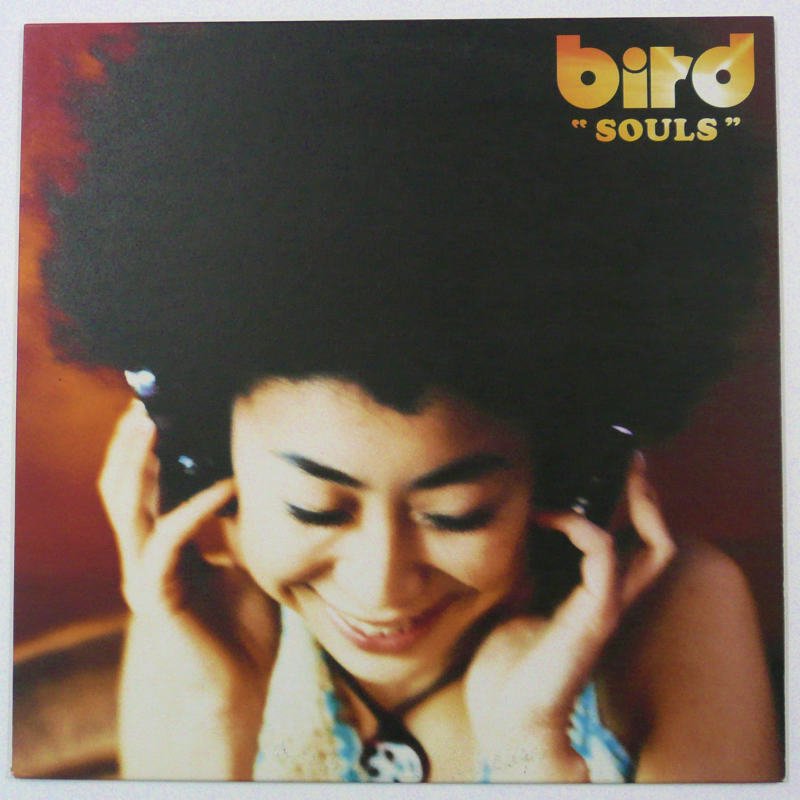 bird / SOULS (12inch single) - キキミミレコード