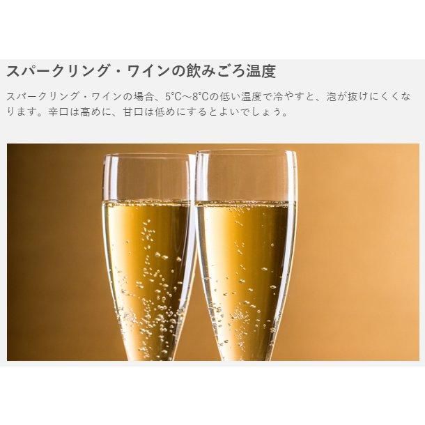 ワインセラー フォルスタージャパン FJC-310GS(BK) ブラック ワインセラー フォルスタージャパン FJC-310GS(BK) ブラック