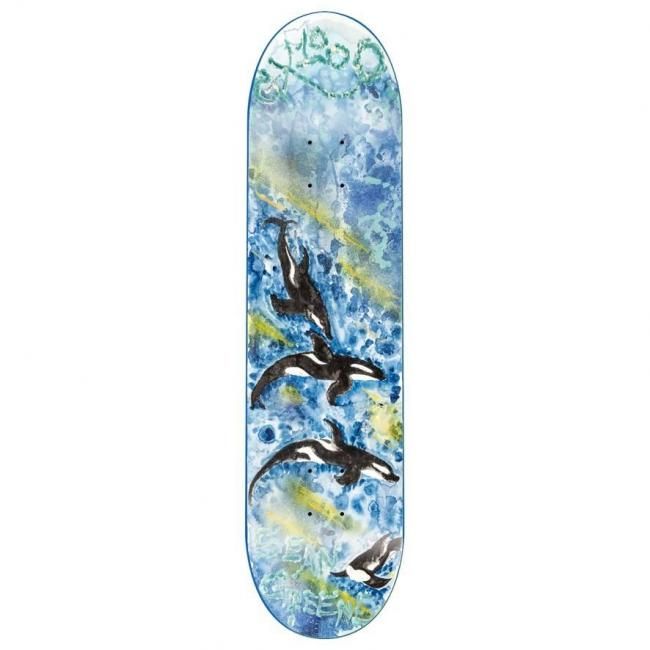 スケートボード - CANVAS SKATE / GLRY SHOP.