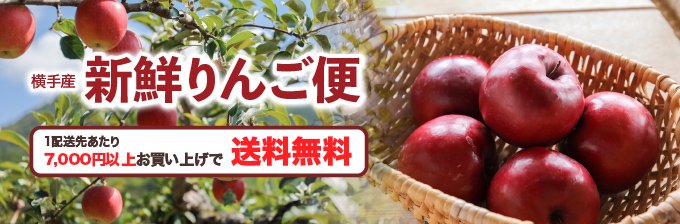 横手産 新鮮りんご便 予約受付中 送料無料キャンペーン