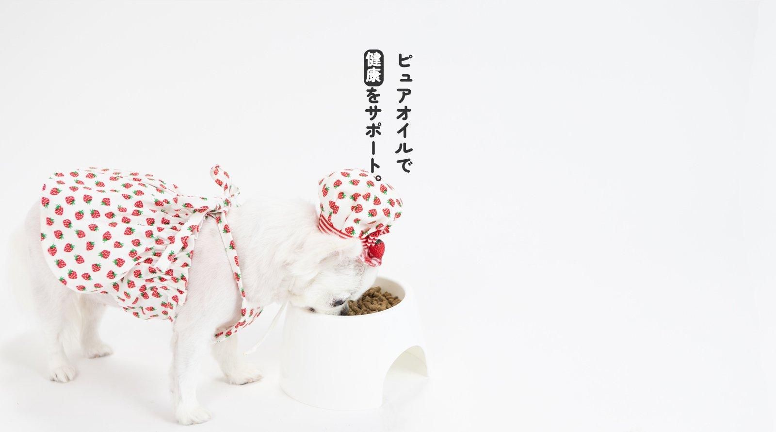 ドッグフード goo GO!ゴー 皮膚+被毛ケア 全粒穀物 ダック 2.3kg＋お試し国産お魚