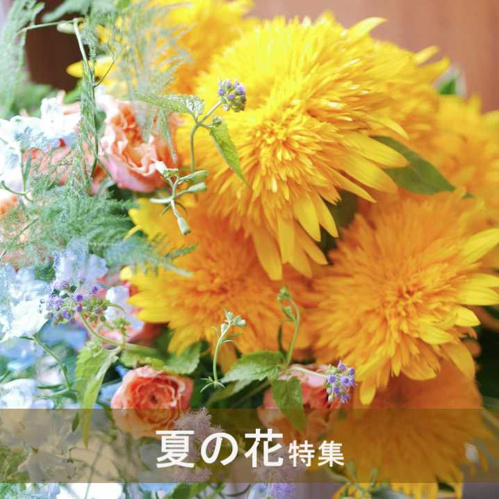 お花の通販】お誕生日、お供え、お祝いにオシャレでかわいいフラワーアレンジメントを！