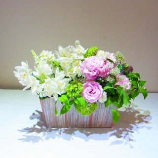 白 - 【お花の通販】お誕生日、お供え、お祝いにオシャレでかわいい 