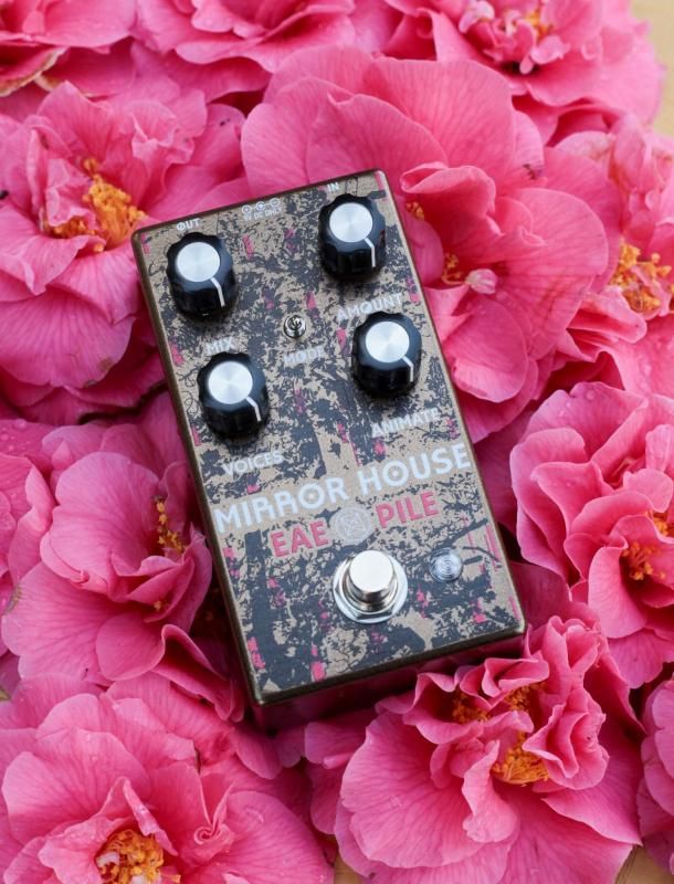 Mirror House - ギズモミュージック