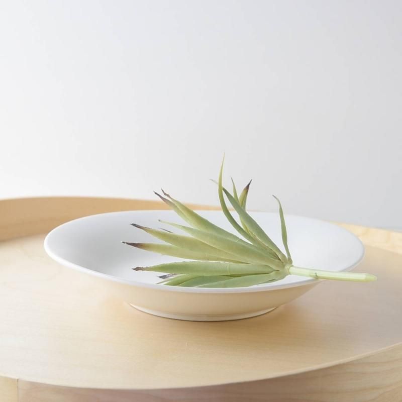 処分品】22.5cmソフトリム楕円スープ皿[B級品] - 業務用食器販売用食器