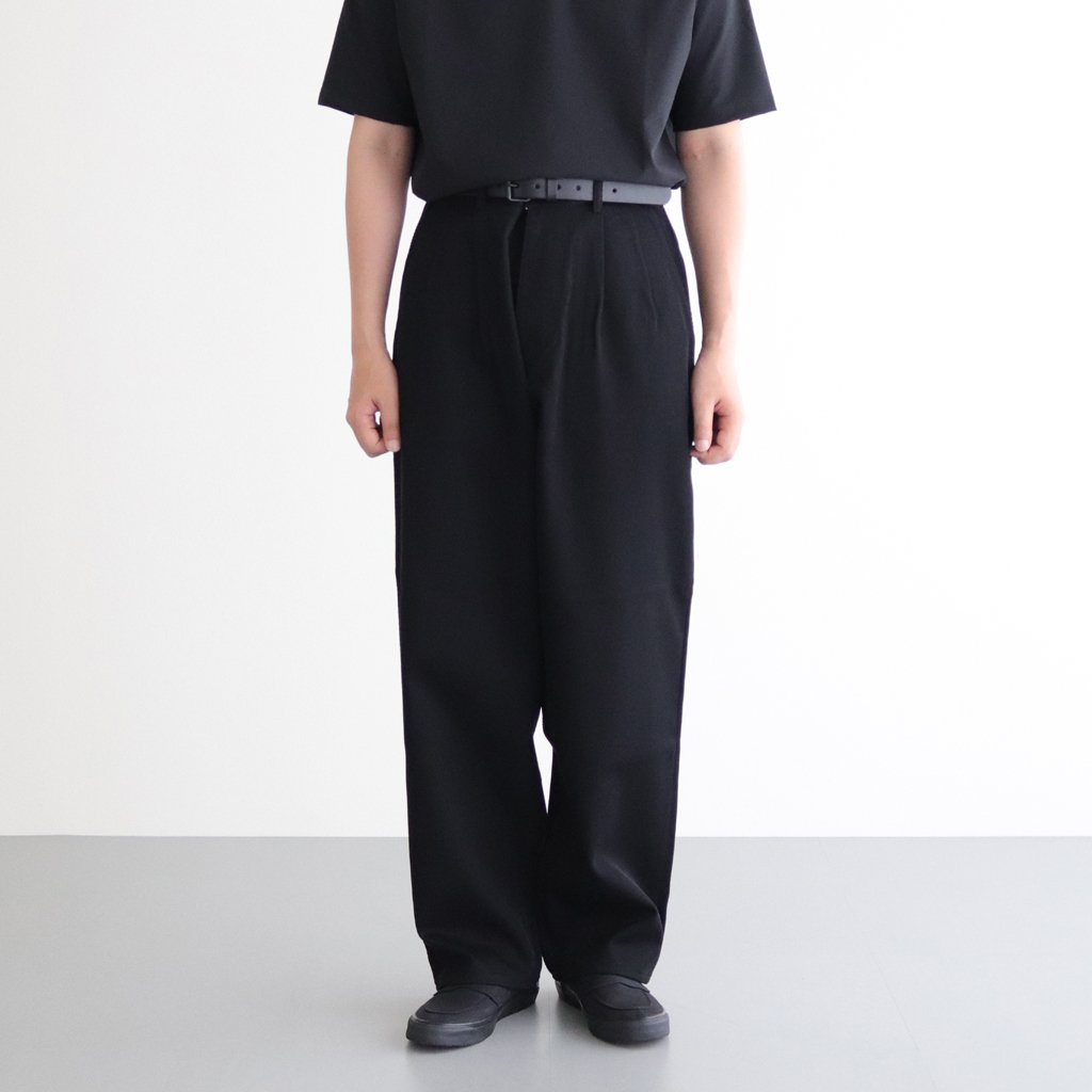 Graphpaper Hard Twill Two Tuck Pants - スラックス