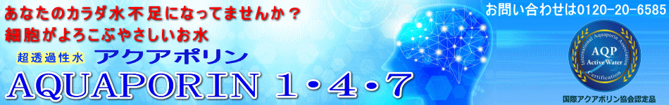 ݥ  䡡˦֤䤵Ǥ