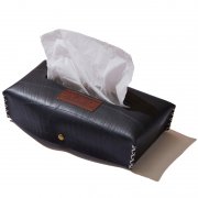 RE:CYCLING TISSUE CASE