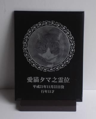 饹ƽA